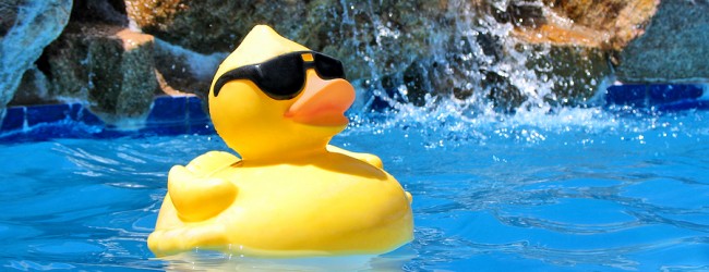 piscina-patito-650x250