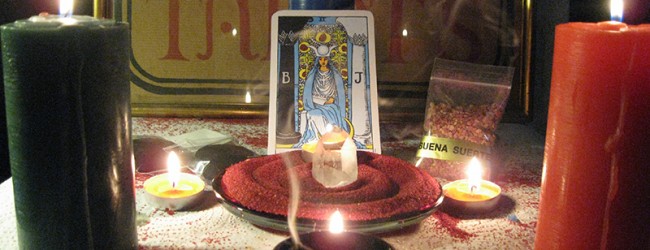 sal_magia-650x250