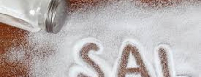 sal-y-salmuera-salinas-650x250
